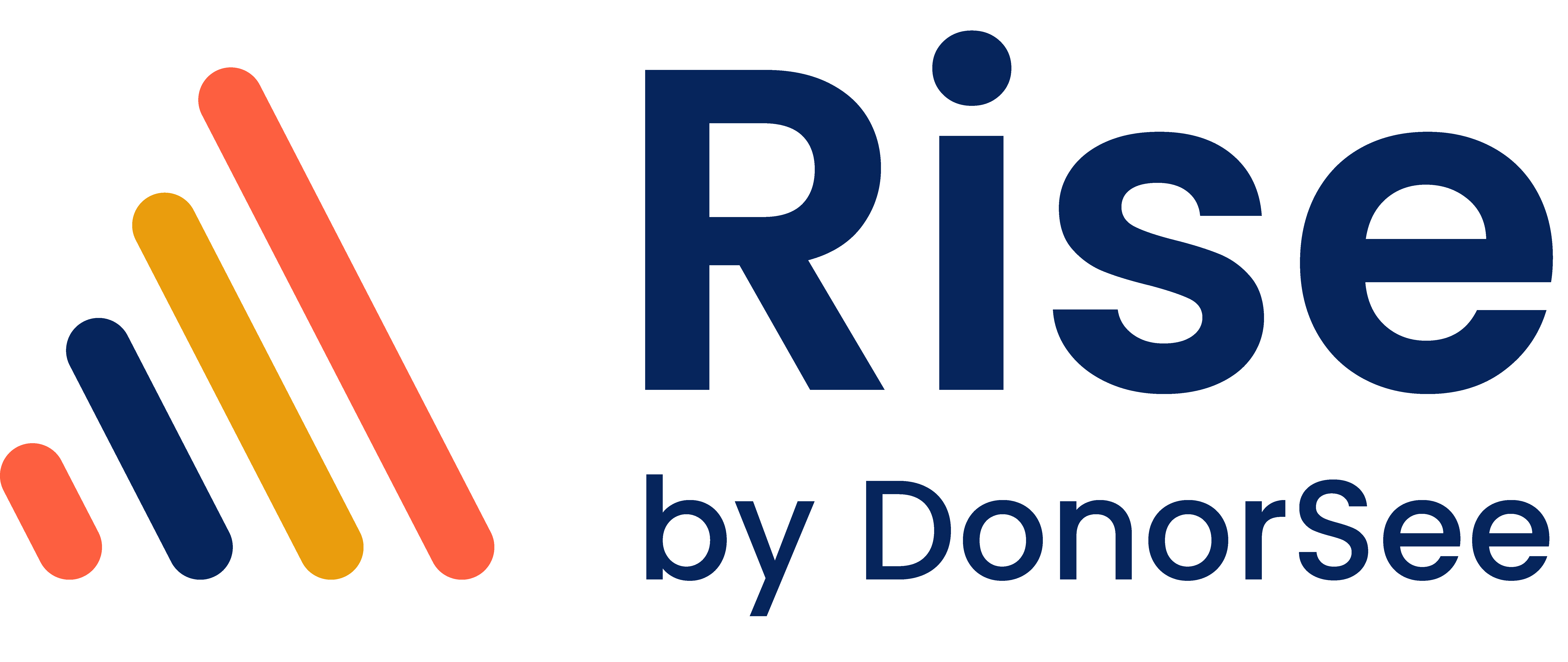 Rise by Donorsee Logo